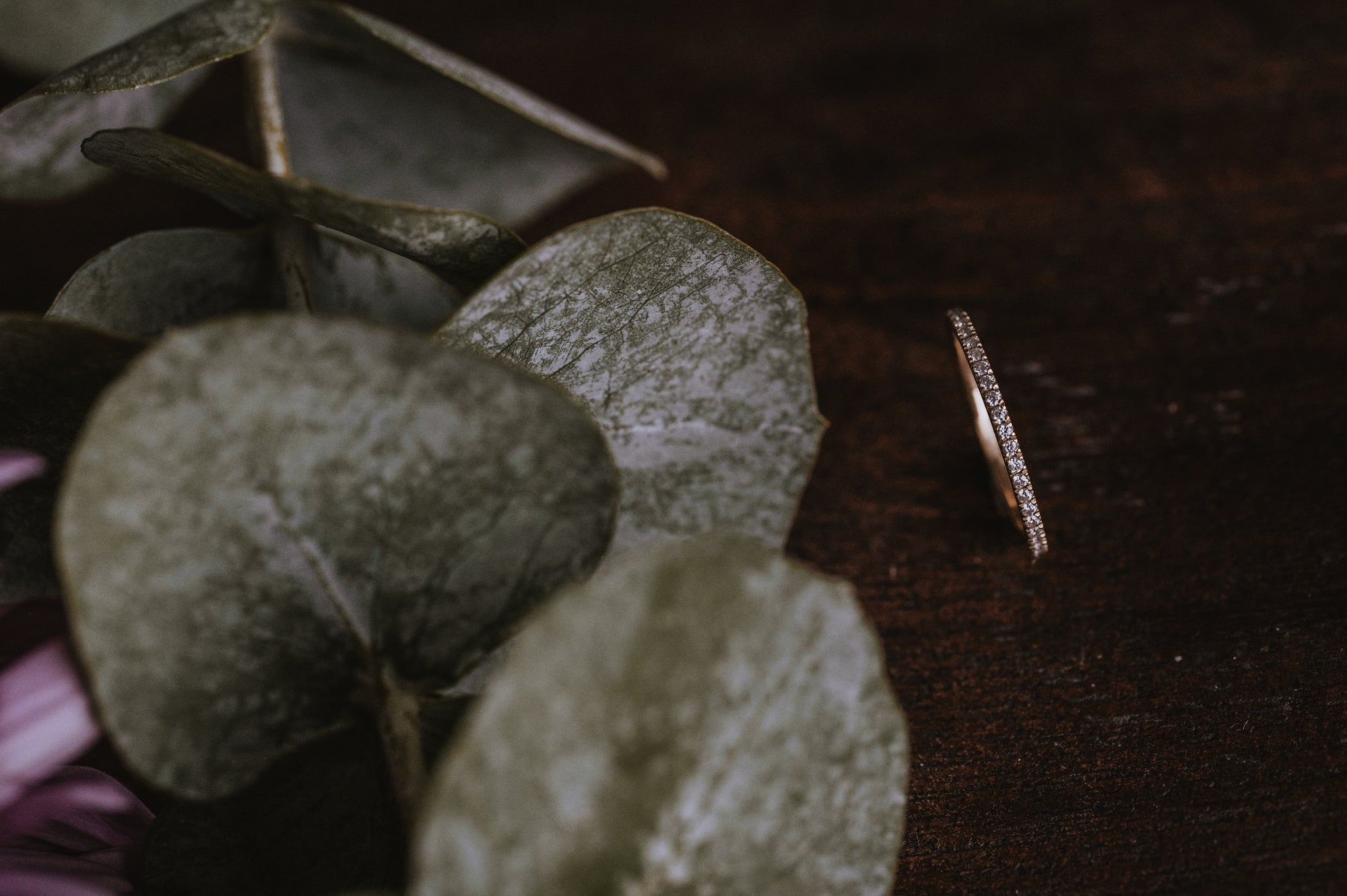 Thin Micro Pave Moissanite Band