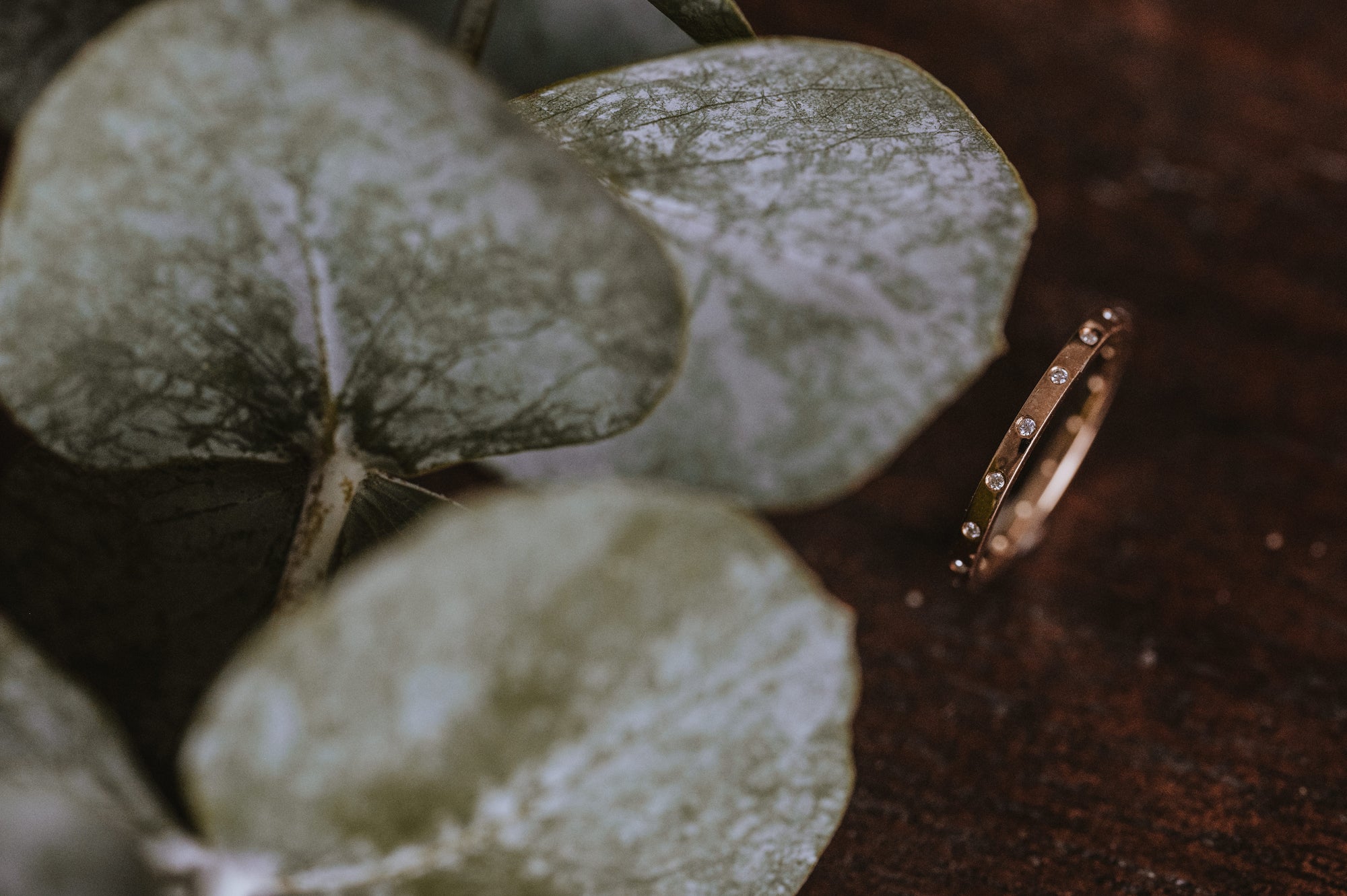 Thin Moissanite Nexus Band