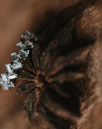 The Cerrado | Alternating Moissanite Baguette Band