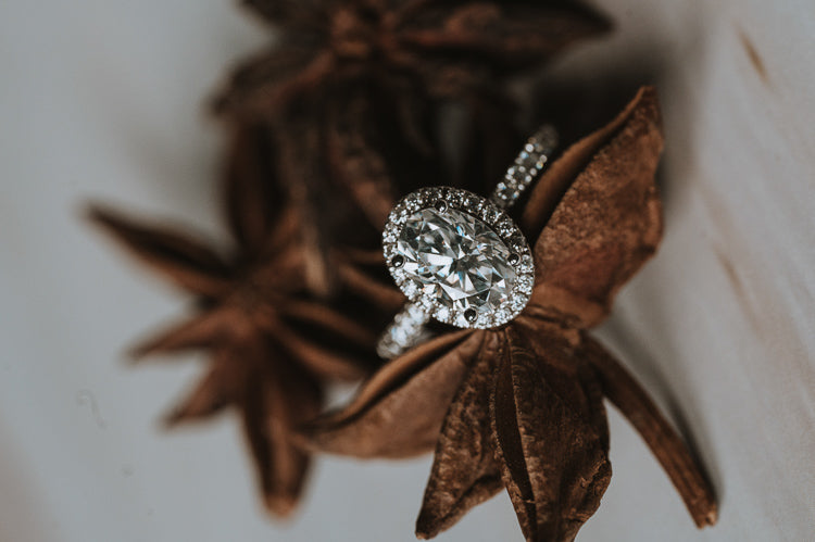 The Leila | Oval Halo Moissanite Ring