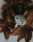 The Leila | Oval Halo Moissanite Ring